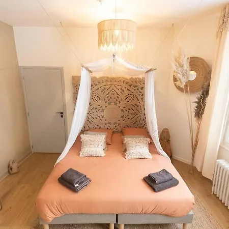 L'eden Angevin- Hypercentre アパート